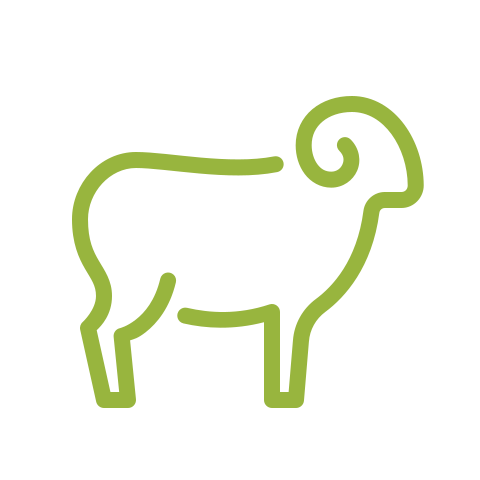 Livestock Tracking Ear Tags – Grazertrack – Every Asset Tracked
